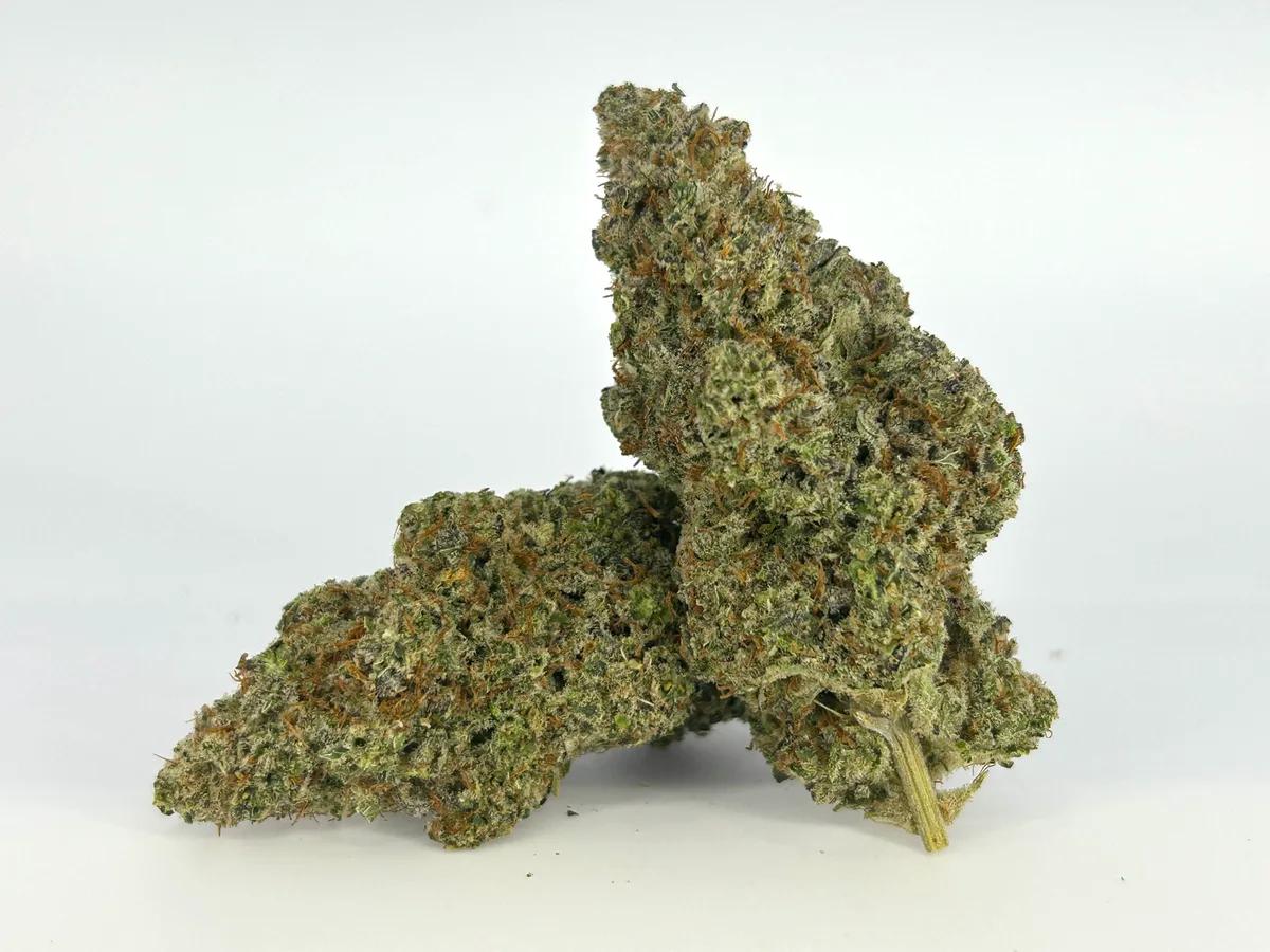 New Member Sativa Started Pack