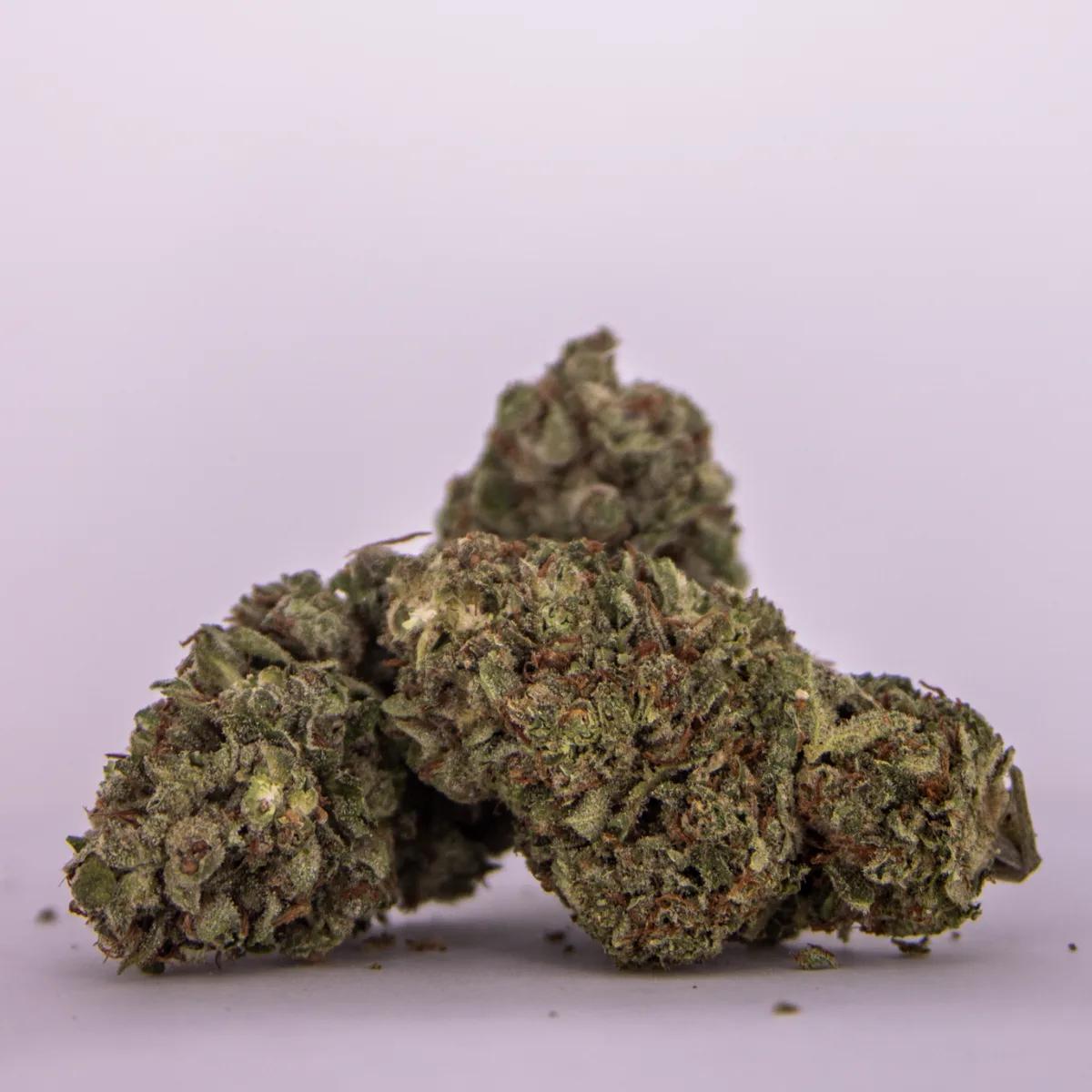 Apple Fritter x Dino Meat AA