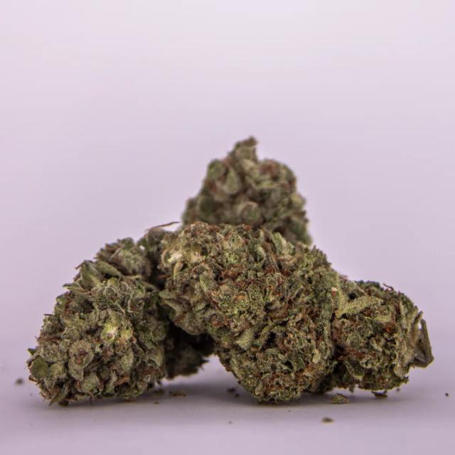 Apple Fritter x Dino Meat AA