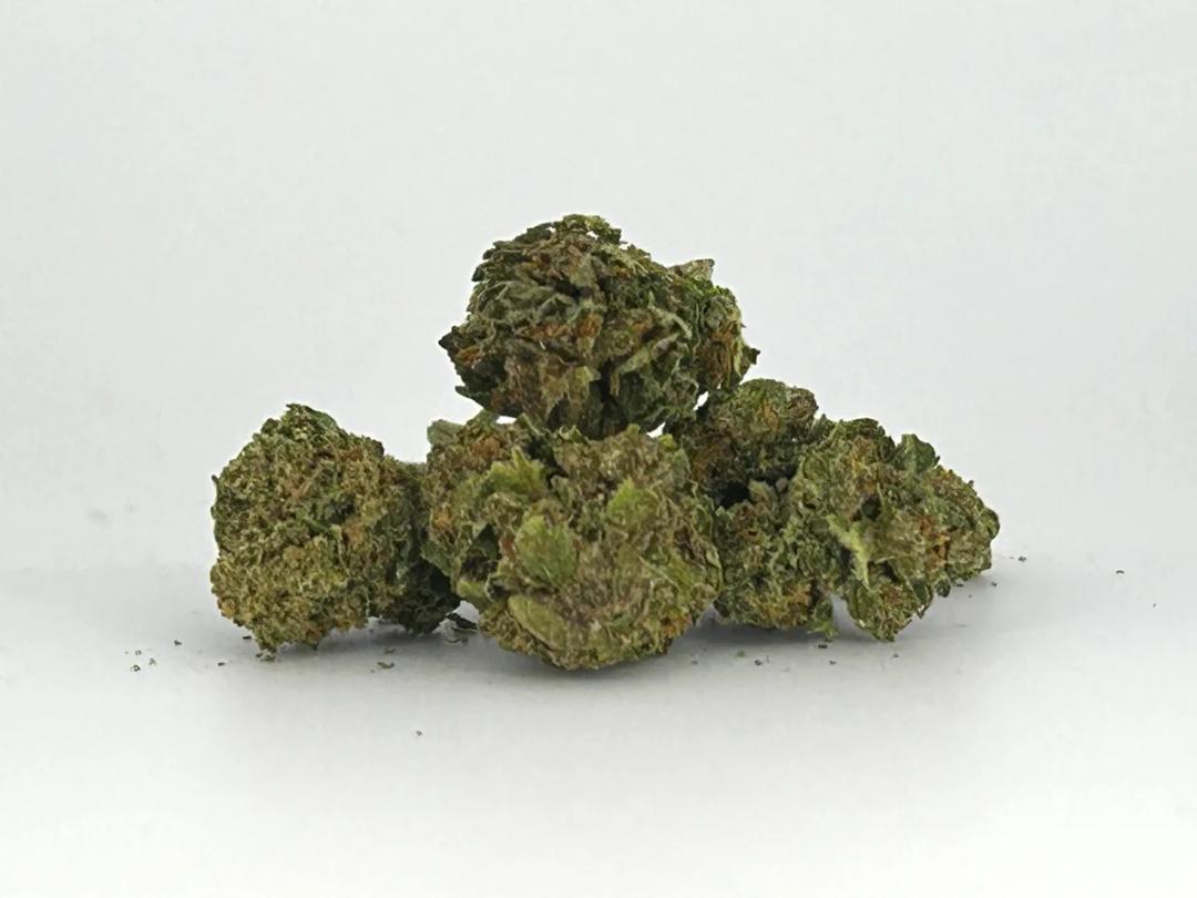 White Queen A