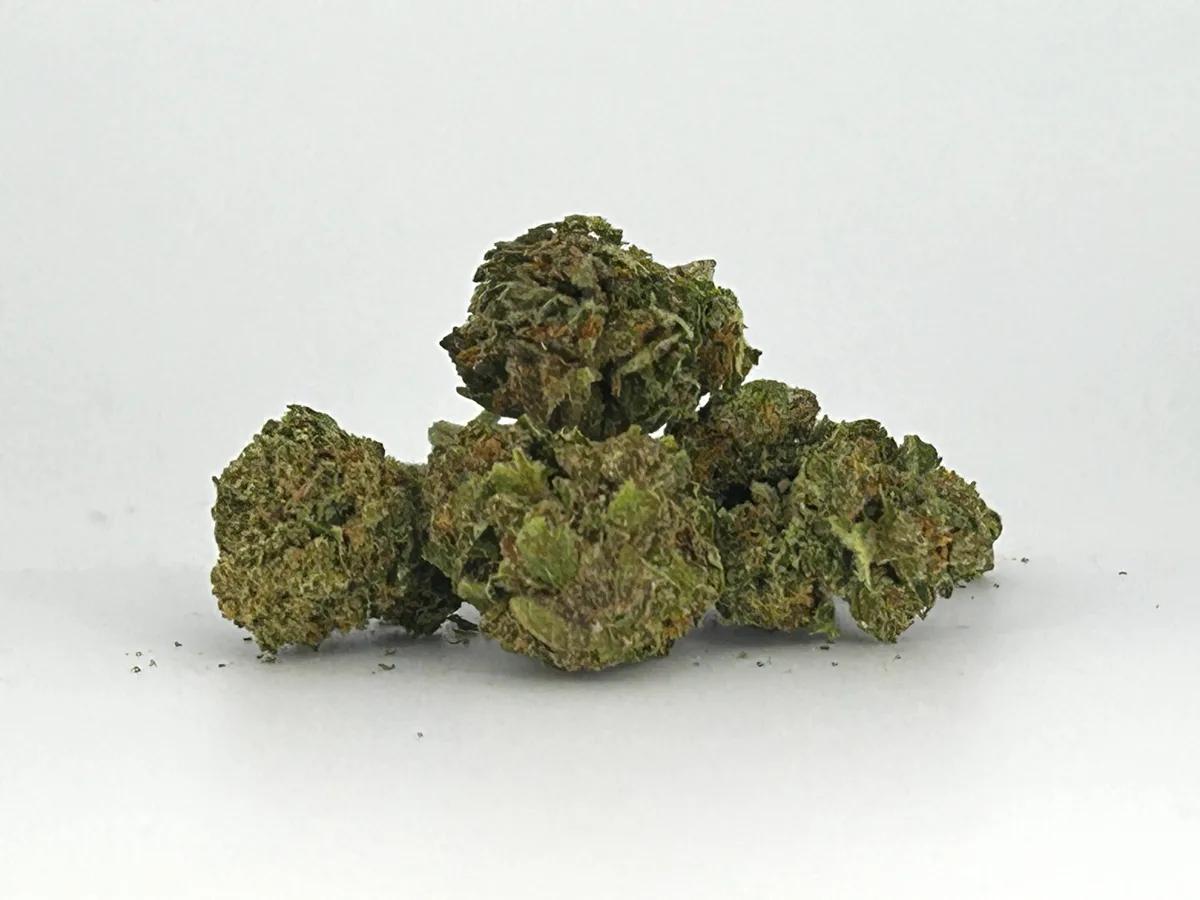 White Queen A