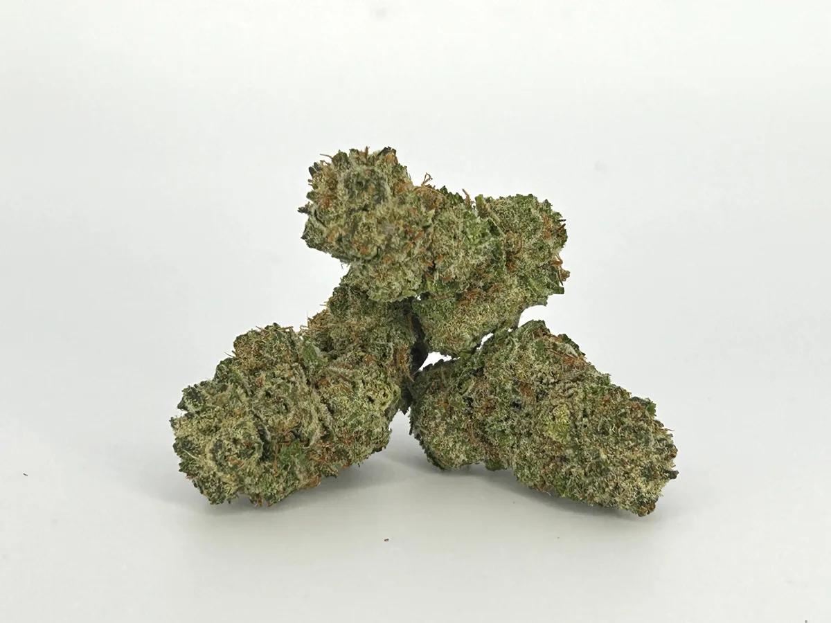 Zours AA