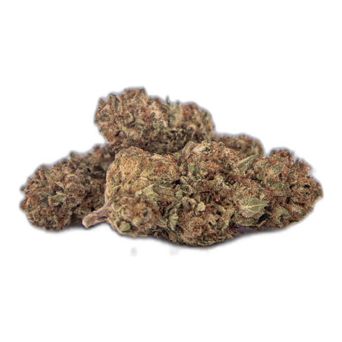 Royal Apple B