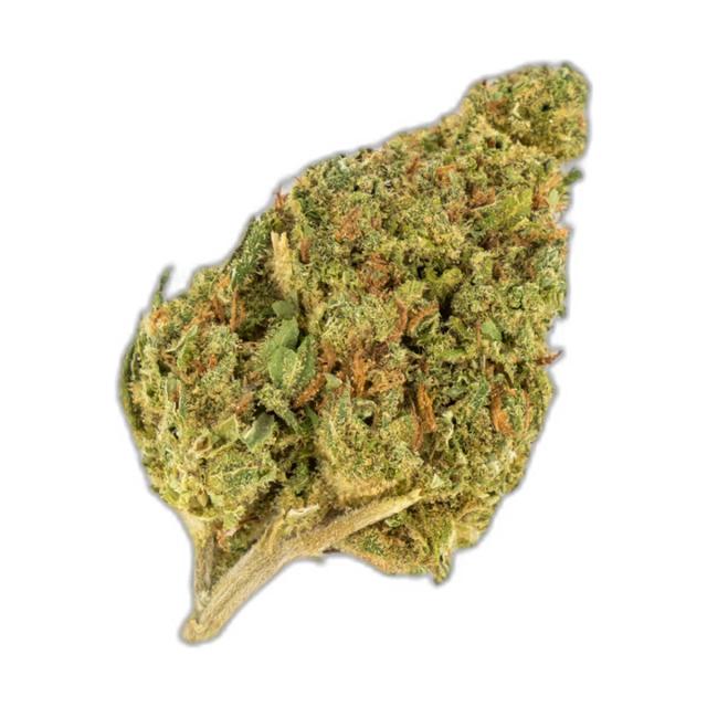 Blueberry Muffin B