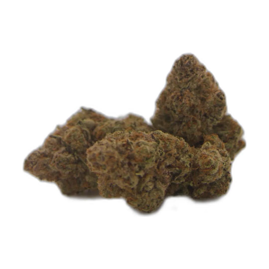 Chocolope AA