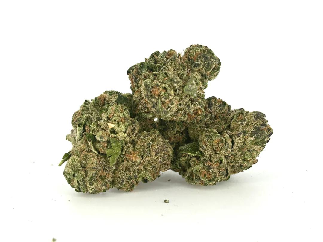 Chocolate Diesel AA