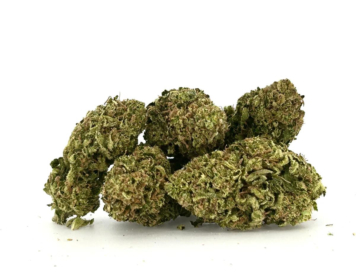 Gelato 45 AA