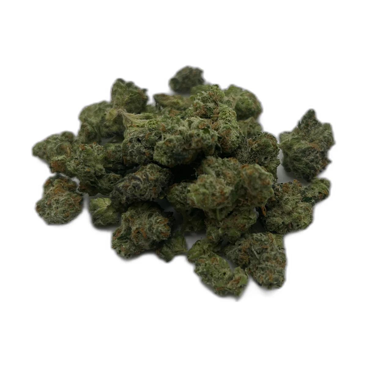 Girl Scout Fire B
