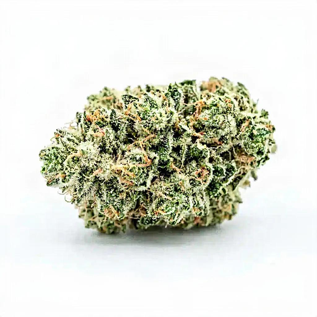 Lemon Tree B