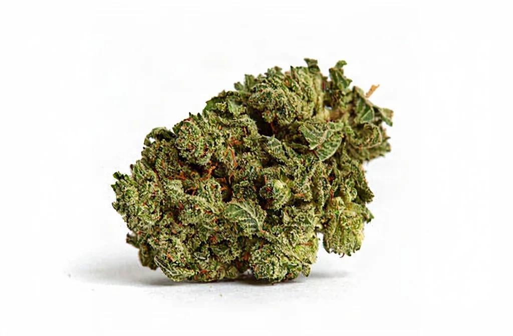 Zombie OG AAA