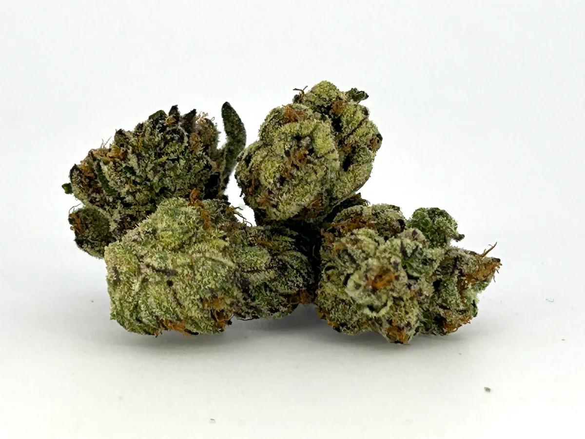 Jack the Ripper B