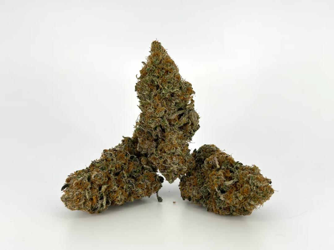 Orange Biscotti AAA+