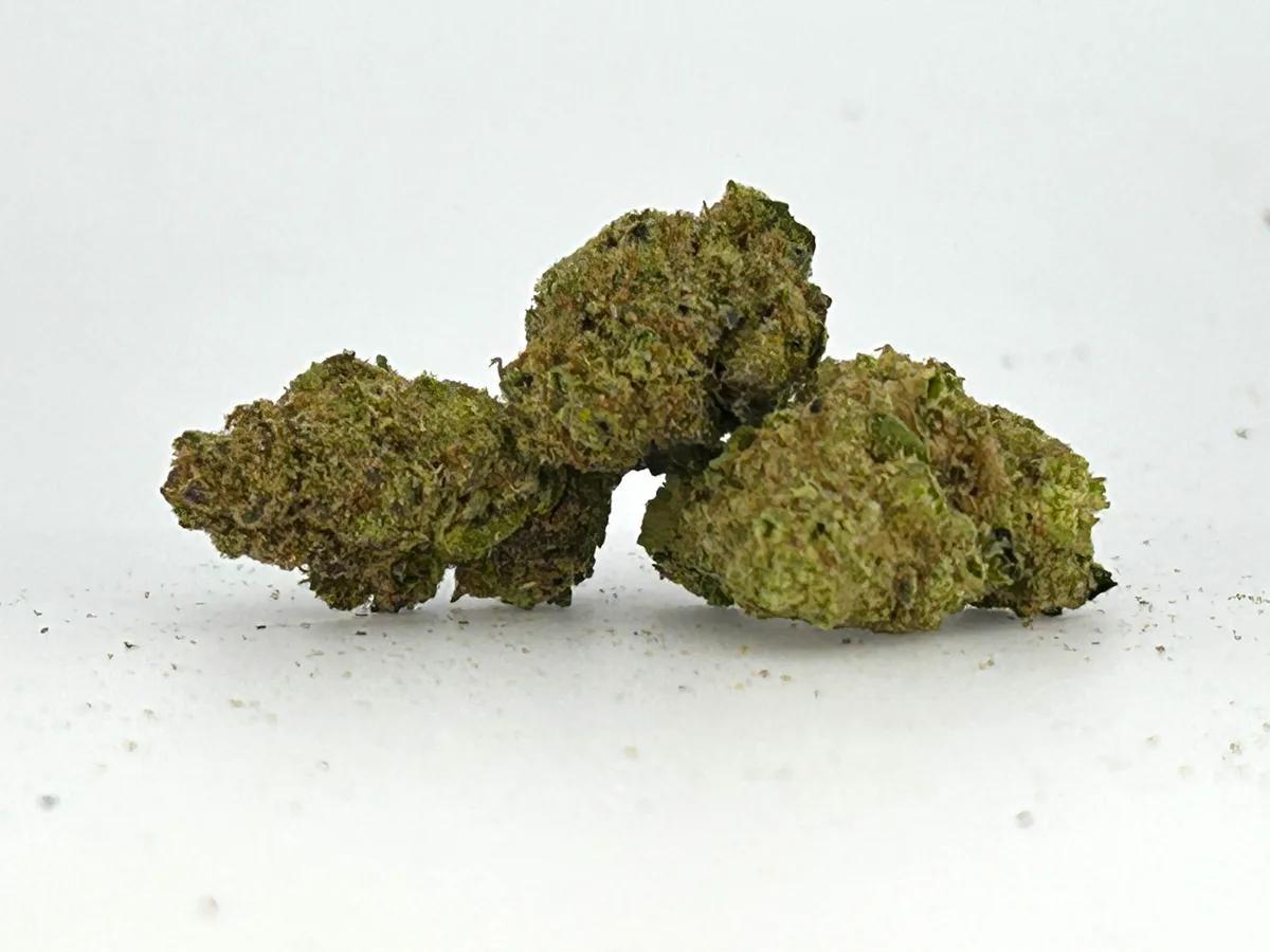Tropical Cooler B