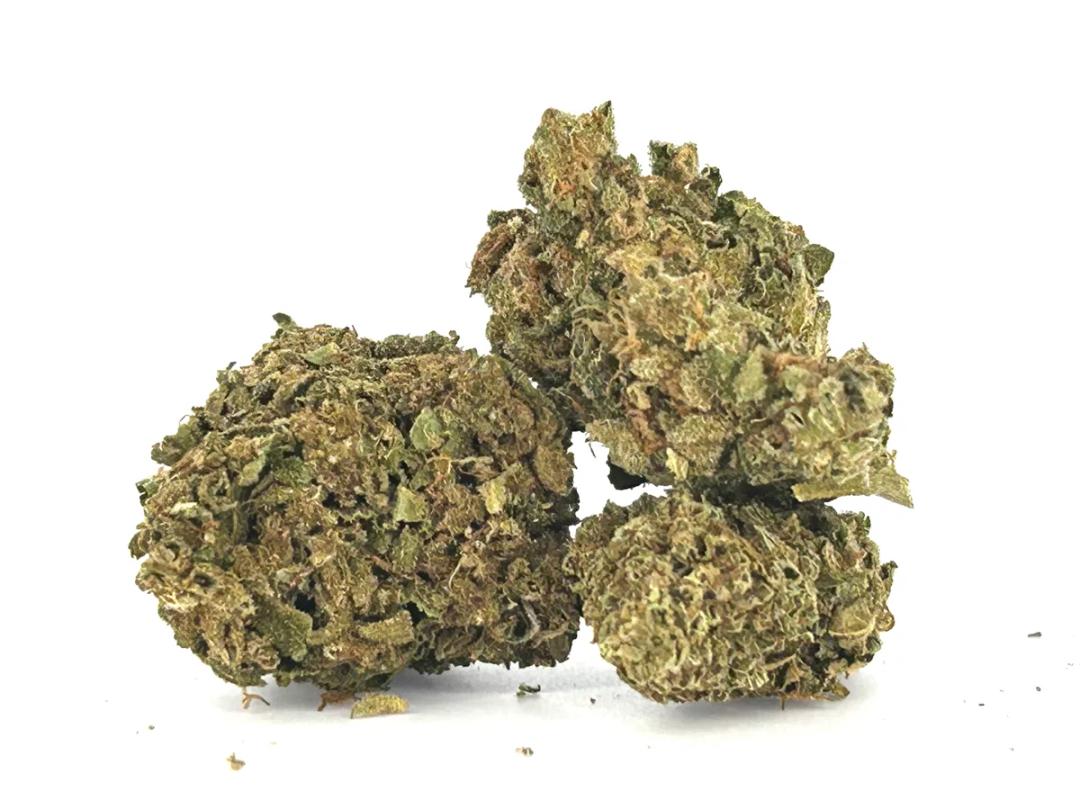 Squattro Kush A