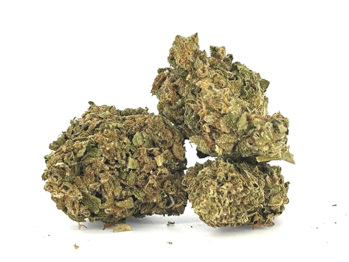 Squattro Kush A