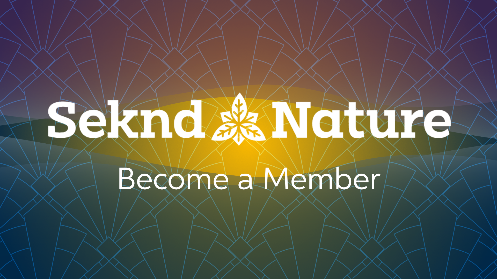 Become a member of South Africas premium cannabis collective and get deliveries of cannabis to your door or smoke joints or dab in our stylish lounge