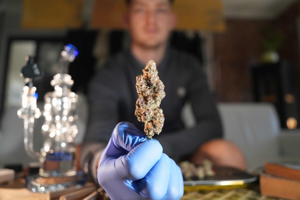 A Seknd Nature bud tender holds a premium cannabis bud that can be withdrawn from the collective by delivery