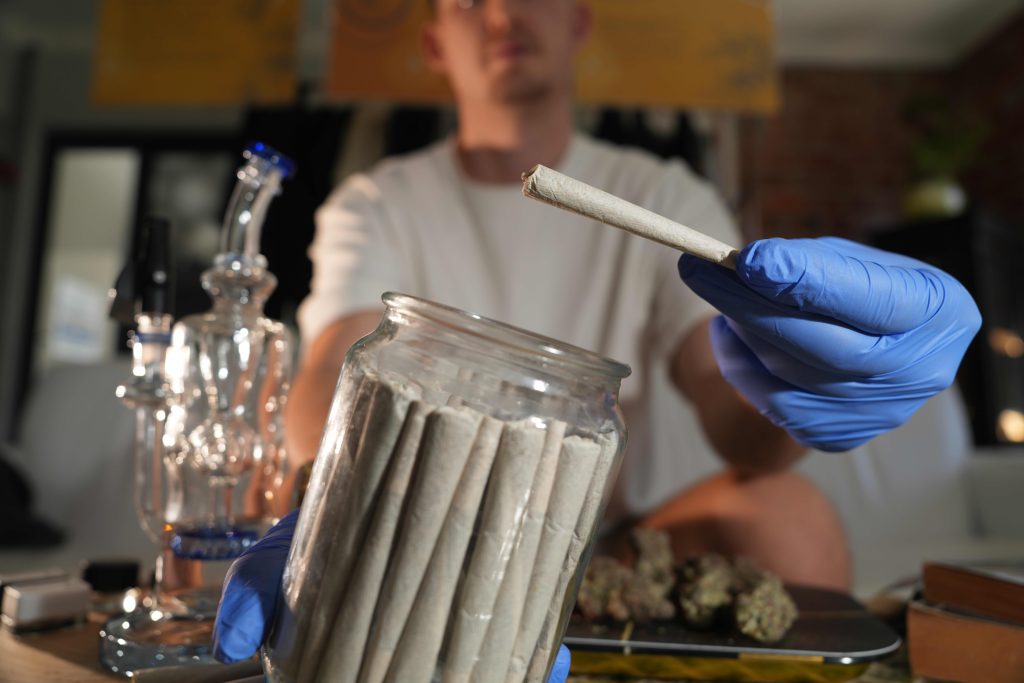 A Seknd Nature bud tender shows off the premium quality cannabis available as pre roll joints in Cape Town and Joburg