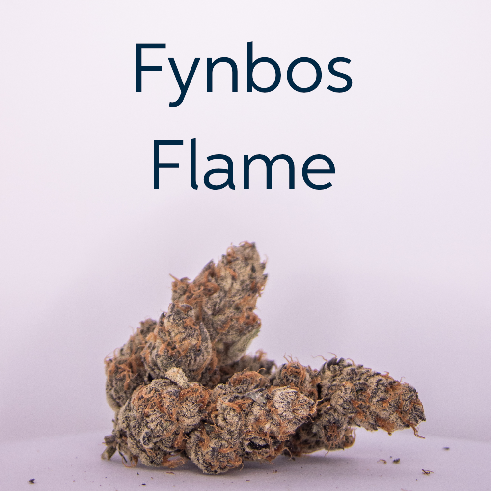 Fynbos Flame is an indica leaning hybrid that is exclusive to Seknd Nature, imparting a deeply relaxed body high, and a calm and clear mental high