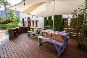 Seknd Nature premium cannabis offers members in the southern suburbs of Cape Town a beautifully appointed deck and garden to smoke, work, play and socialise in.