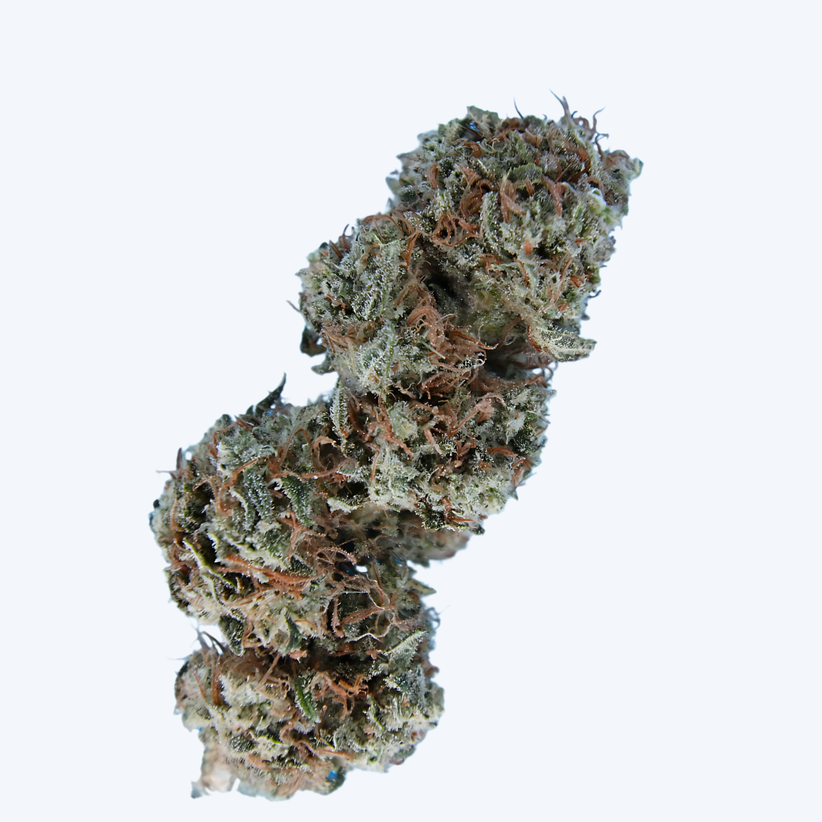 Lemon Z Sativa 1/2g Pre-Roll - Image 2