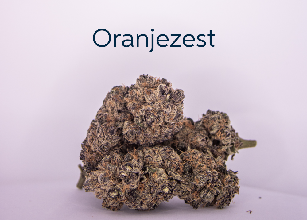 Seknd Nature's exclusive Oranjezest is a bespoke cannabis strain that offers zesty citrus flavours and an energising and focused effect that is good for working, and relief from depression and anxiety