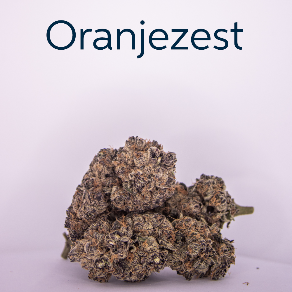 Oranjezest is 50% Sativa / 50% Indica, offering a balanced, mood-enhancing high, grown exclusively for Seknd Nature cannabis collective in Cape Town and Joburg