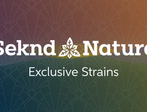Seknd Nature’s Exclusive Cannabis Strains