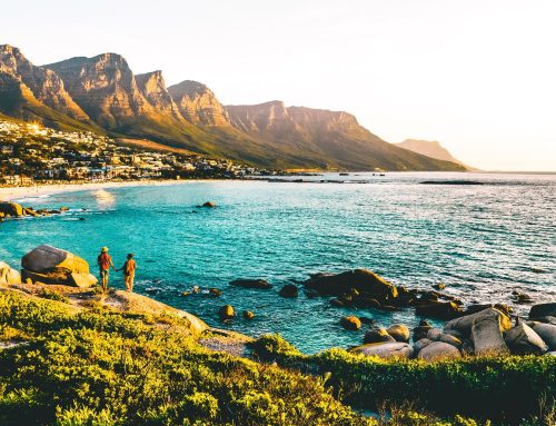 Seknd Nature × Cannabis Journeys: A New Way to Wander Cape Town